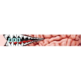 Snowboardbrille BOB Brain Washer HCS+TM