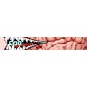 Snowboardbrille BOB Brain Washer HCS+TM