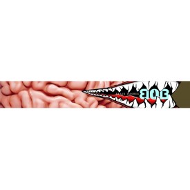 Snowboardbrille BOB Brain Washer HCS+TM