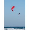 Kite Cabrinha 2026 Nitro Apex only C5