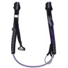 Trapezseil NeilPryde Foil Race HL Pro S  Transparent Purple