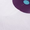 Snowboard board daMen Nidecker 2027 Odyssey Women Grey Purple