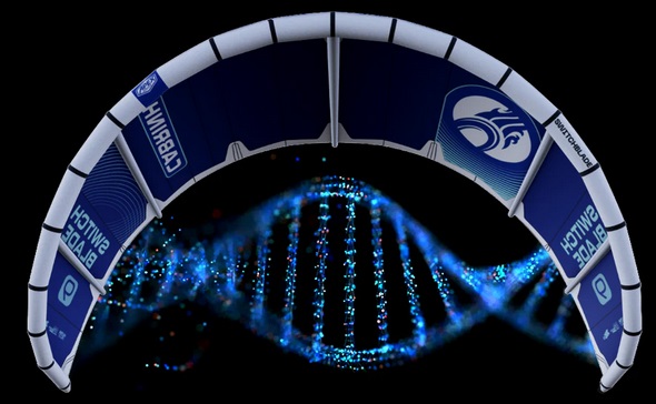 Switchblade DNA